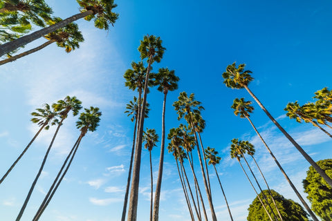 THE BEST AIR COMPRESSOR COMPANY IN CLAIREMONT MESA