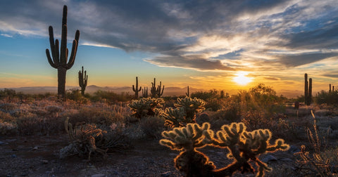 THE BEST AIR COMPRESSOR COMPANY IN SCOTTSDALE